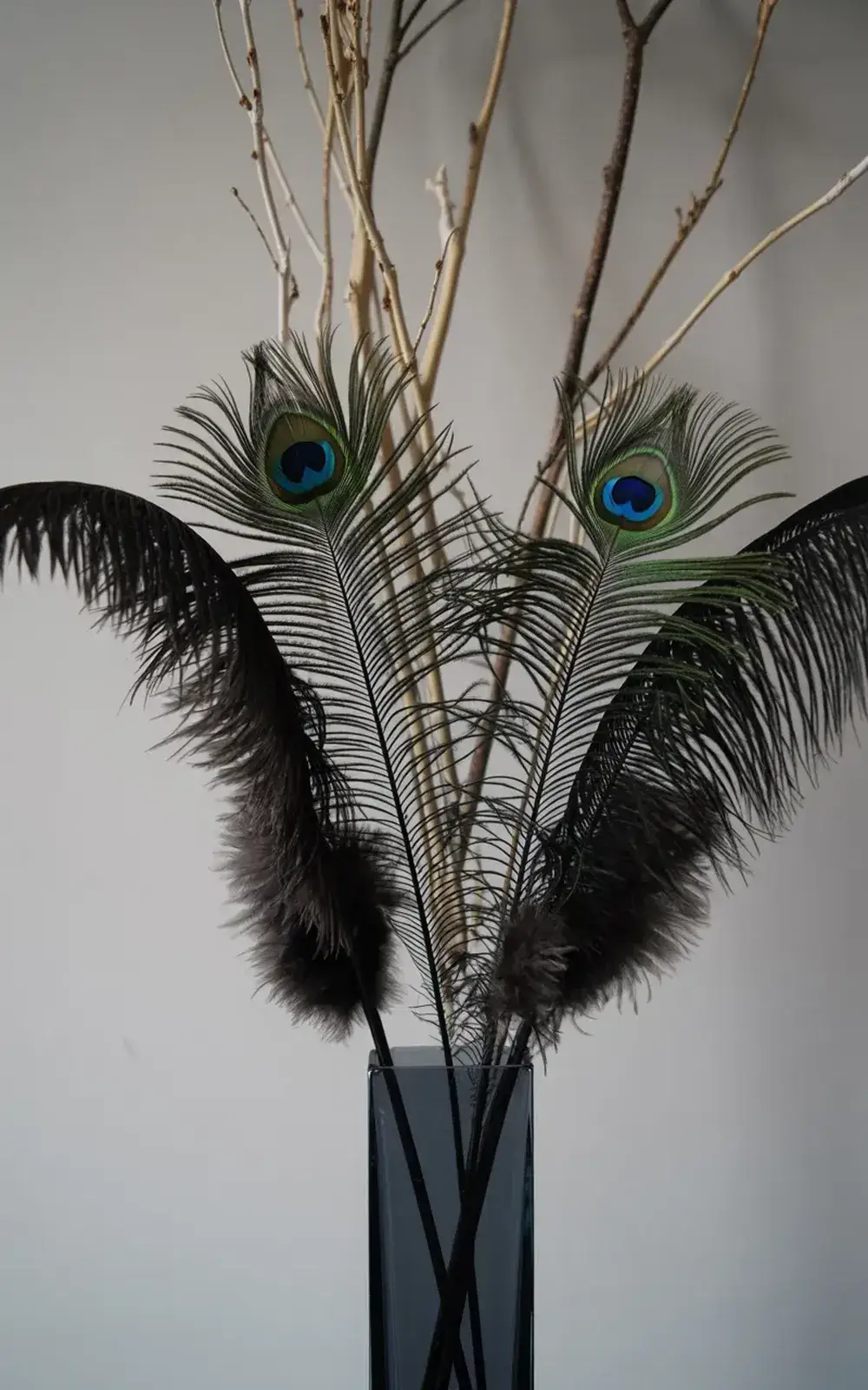 A tall glass vase with peacock feathers and black and green plumes.